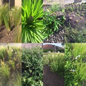 Showtuin Aartselaar Samenstelling Voorjaar Showtuin rreac04 Publiek Aartselaar Voorjaar
